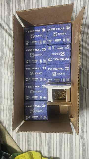 .22LR FEDERAL AMMO