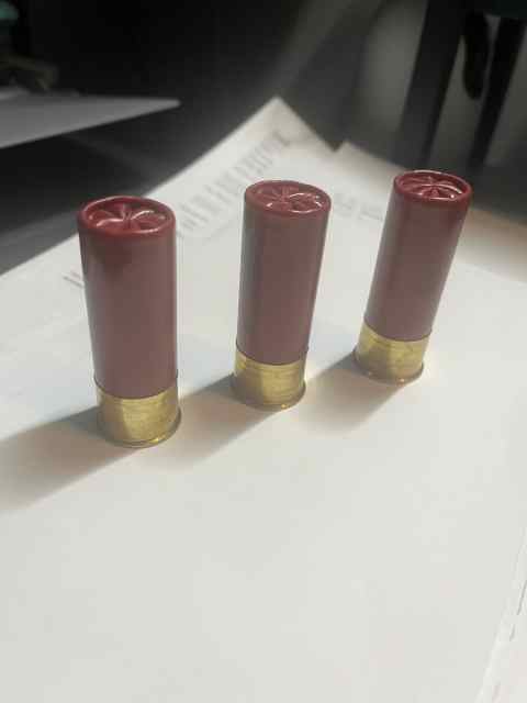 Federal 12 Gauge Ammo 2-3/4&quot;