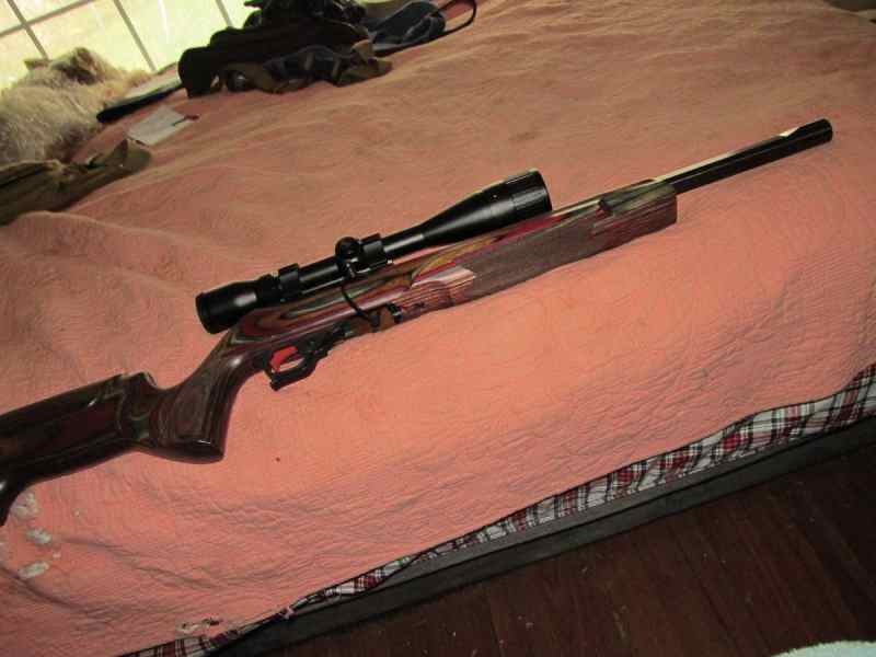 CUSTOM RUGER 10 22