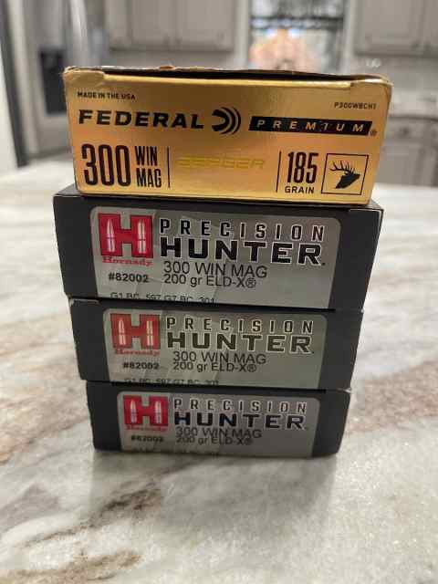 300Win mag Ammo