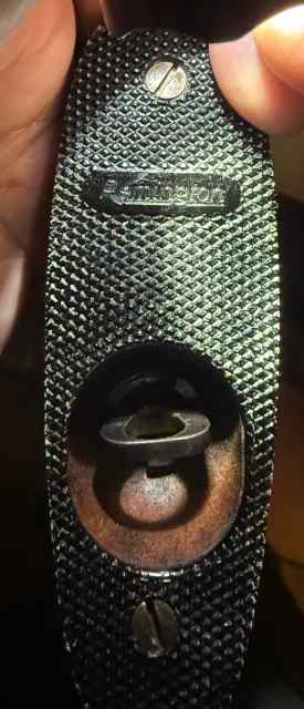 IMG_6779.jpeg