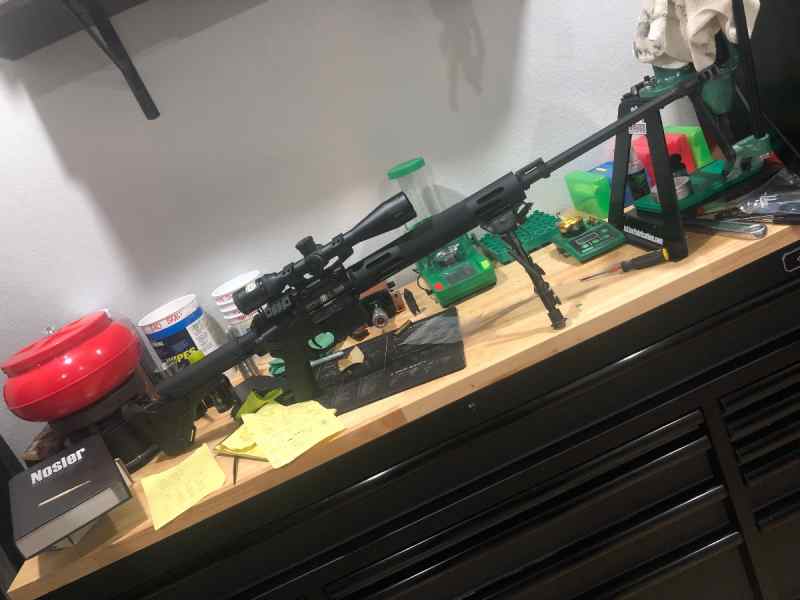 Original bushmaster varminter