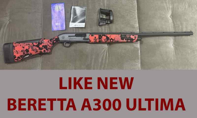 Beretta A300.jpg