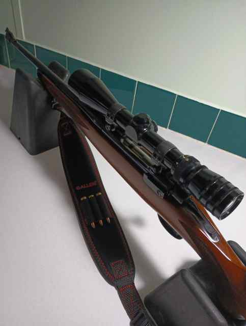 Ruger M77 .243 Cal Reduced !!!