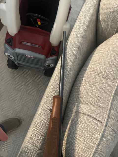 Winchester Model 70 in .270