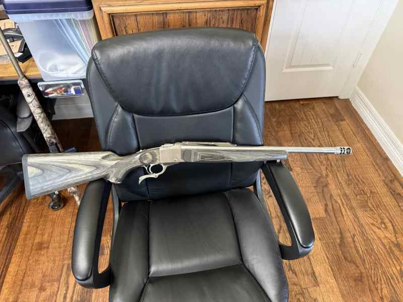 Ruger .450 Bushmaster