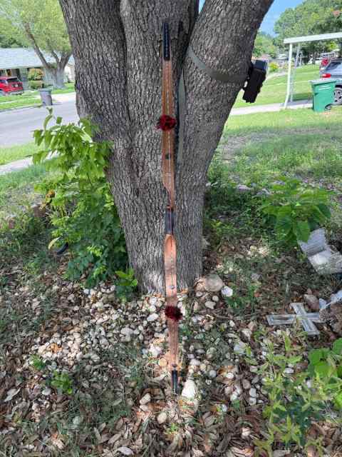BLACK WIDOW RECURVE SAG