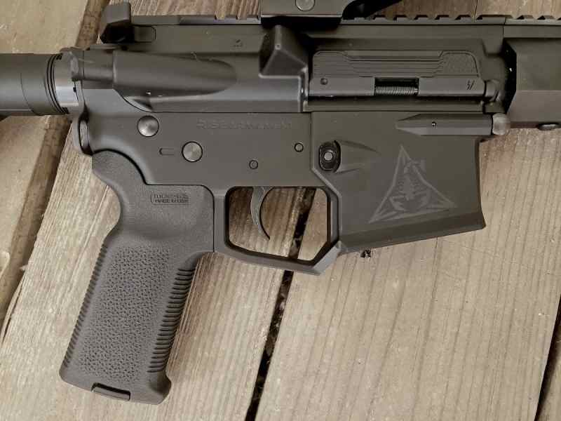 Rise Armament RA200 Billet AR 15 3.jpg