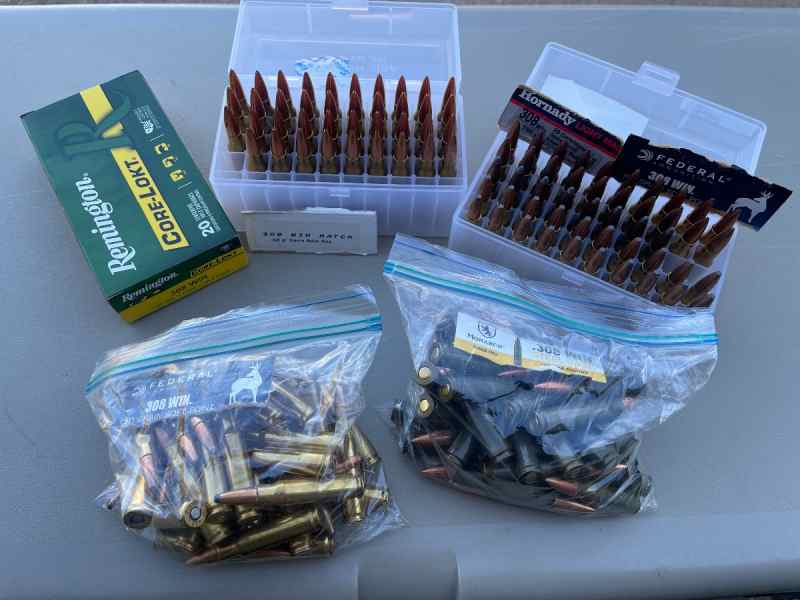 308 ammo 