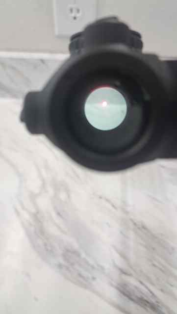 20250611_154956.jpg