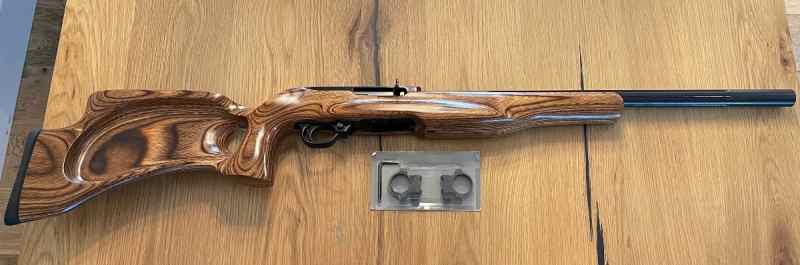 Ruger 10/22mag - 17hmr conversion