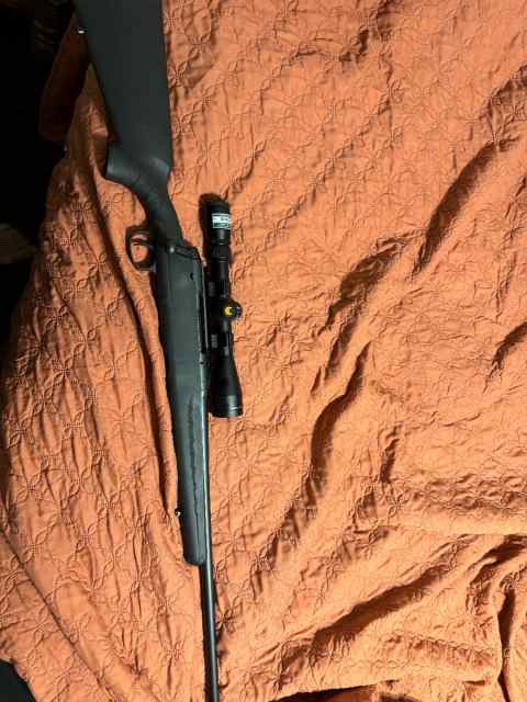 Savage axis with timney and Nikon 