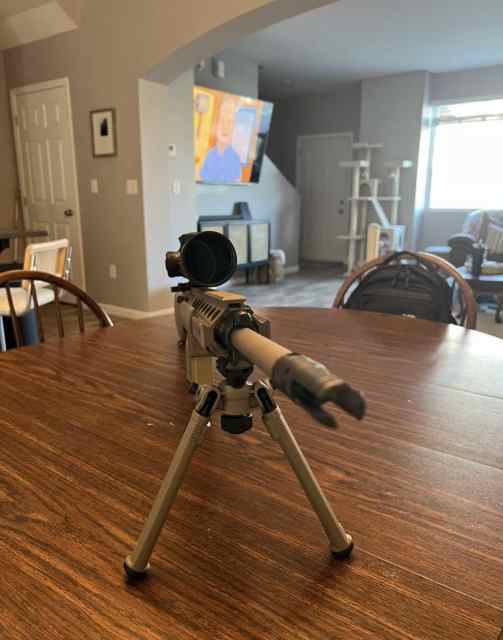 PSA Sabre AR-10 Billet 20&quot; .308 w/ 5-25x56 Vortex