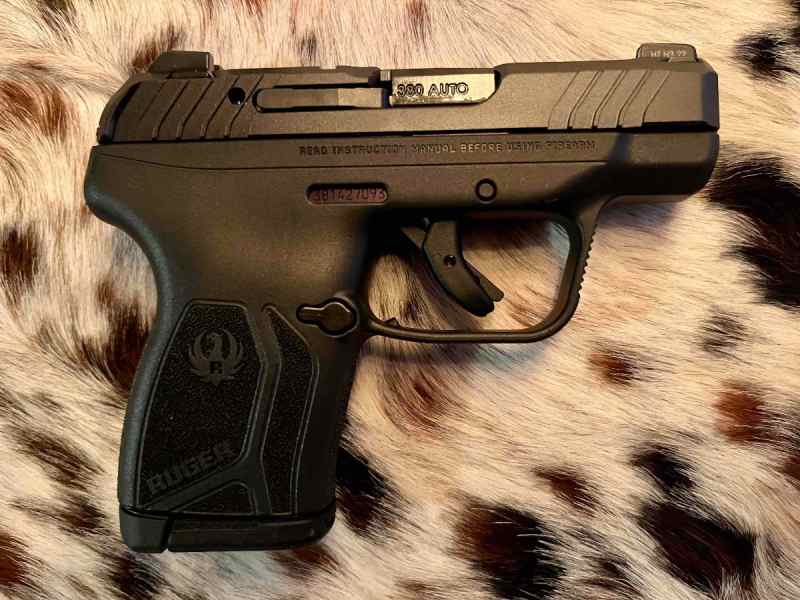 RUGER LCP MAX 380ACP with Lock Box