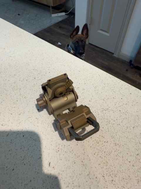 Wilcox G24 Tan