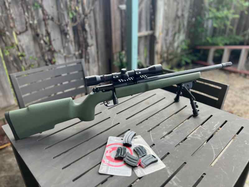 Savage 22Lr in Boyds stock with scope