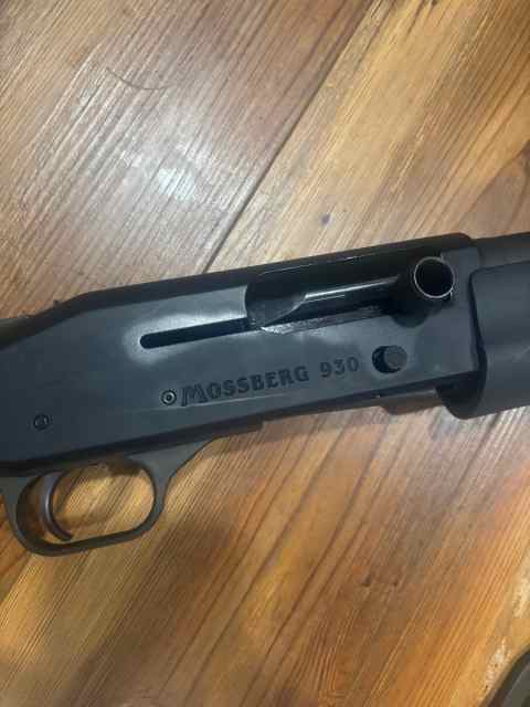 image1(3).jpeg