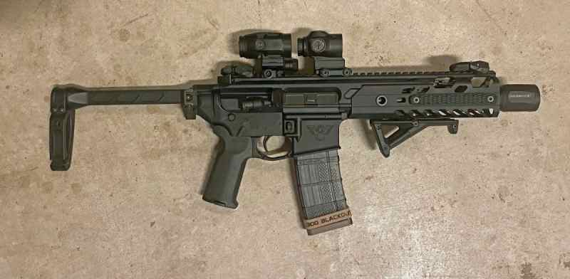 Sig Sauer MCX Virtus 9" 300 blackout Package