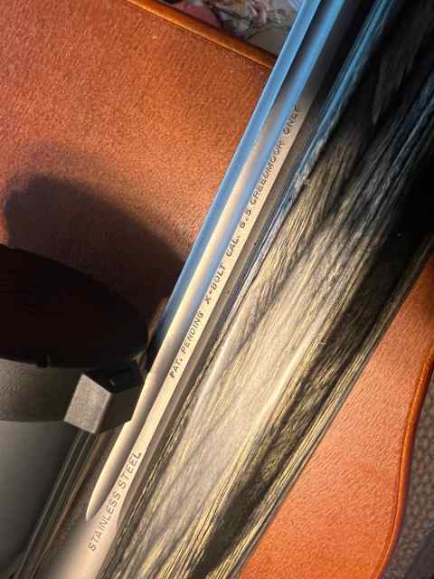IMG_4667.jpeg