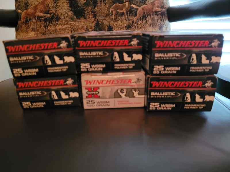 Winchester 25 WSSM Ammunition 