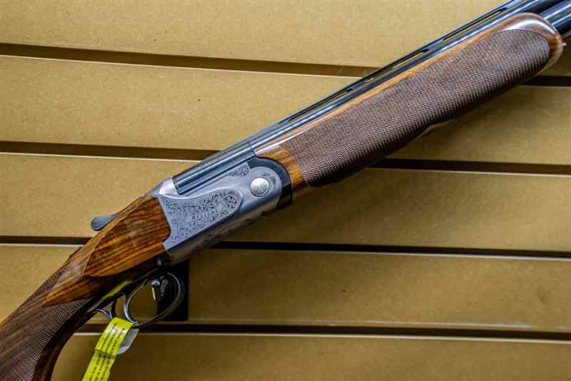 Rizzini 2.jpg
