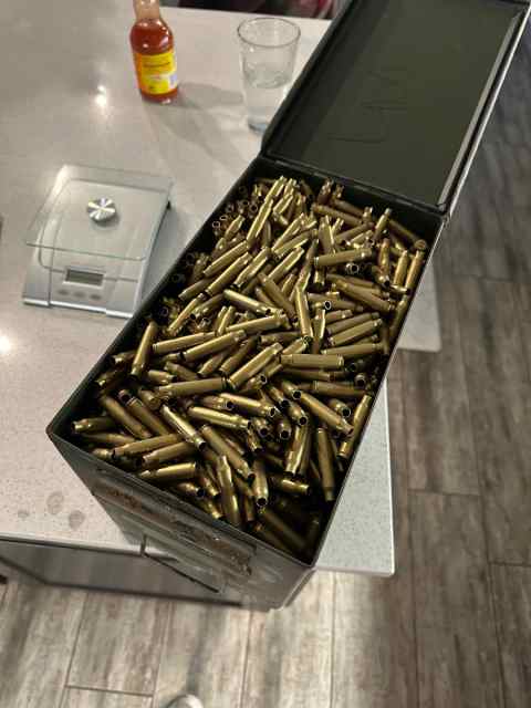 2000 rounds of 556/223 shell casings 