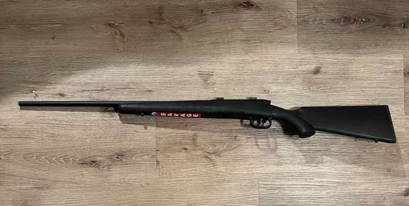 Savage 17 WSM