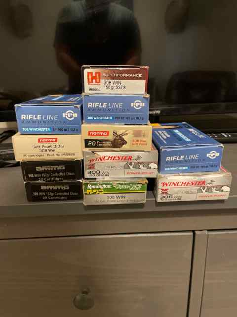 .308 ammo