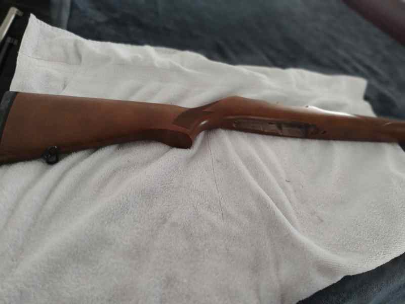 Ruger 10/22 stock 