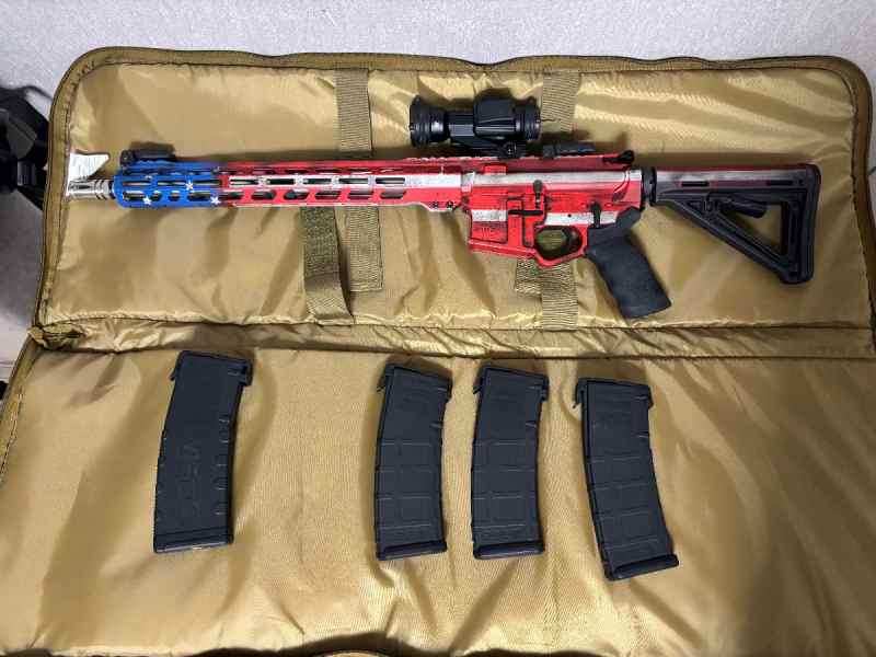 Wise Arms AR w/case, mags, Vortex Red/green optic+