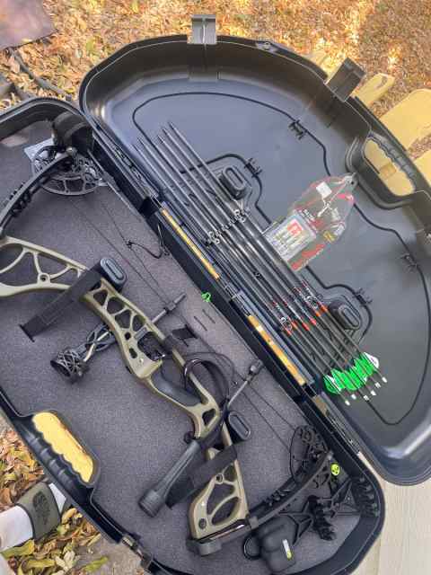 Hoyt Torrex Compound bow 