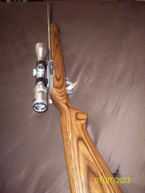 Ruger Stainless Target 10/22