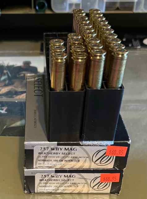 257 wby mag ammo &amp; rings and mounts 