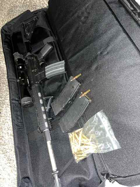 Fully loaded AR-15 for hogs/coyotes hunting AR 