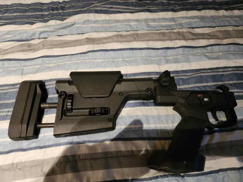 PSG8 stock and lower complete with AR trigger