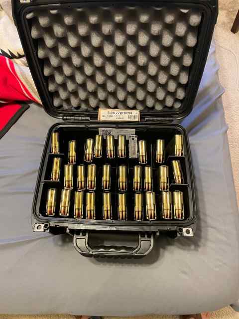 556 Ammo,magazines and case