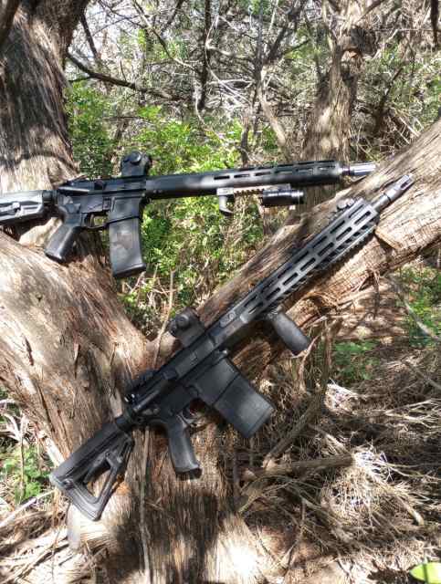 SIG Sauer Ar 15 &amp; AR 10