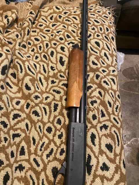 20 gauge Remington Magnum