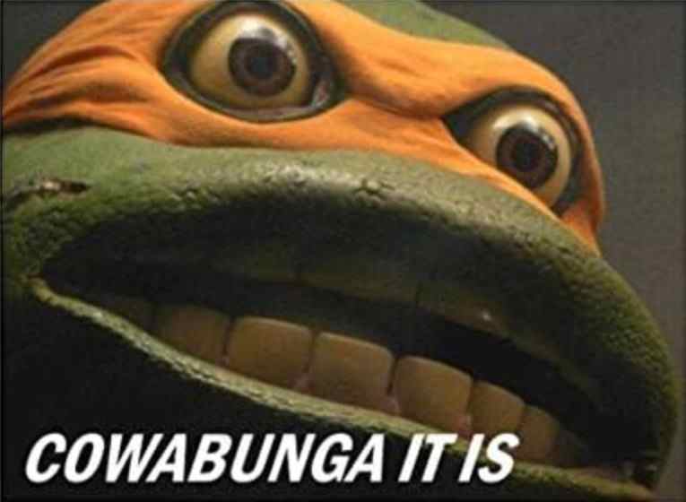 SAFE CLEAR OUT - CASH TALKS