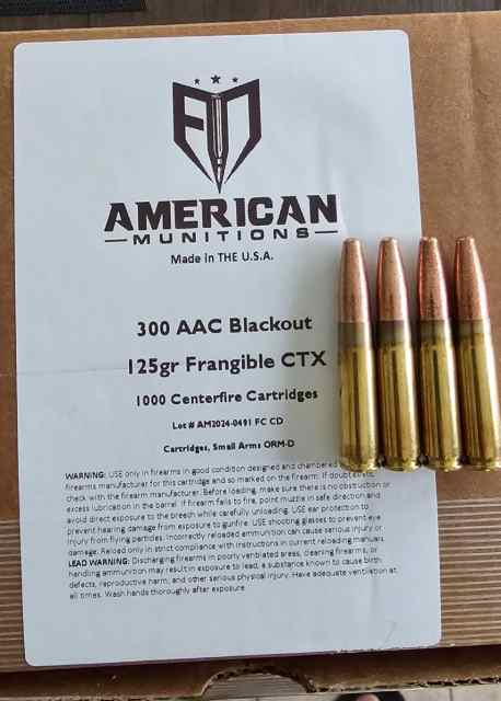 300 blackout ammo- 300 rounds