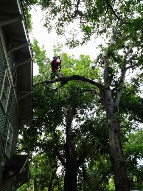 2012-07-15 12.31.27.jpg