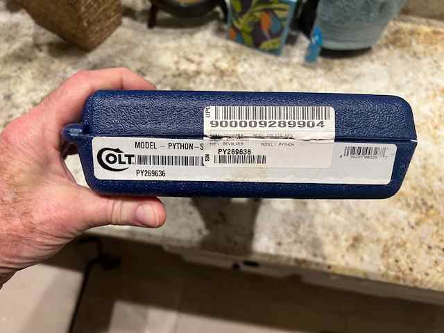 colt1.jpeg