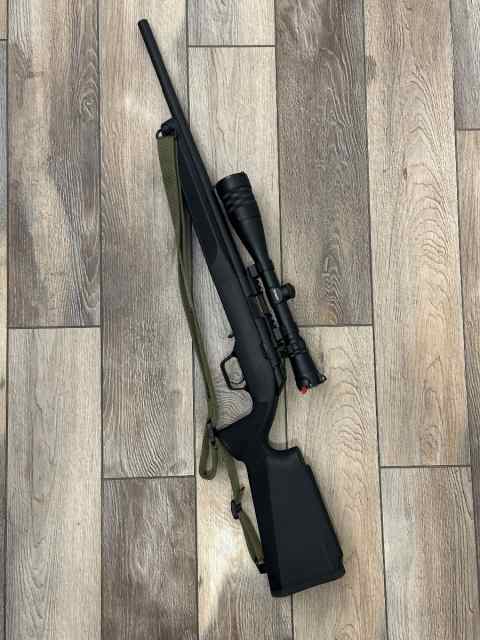 Springfield 2020 target 22lr