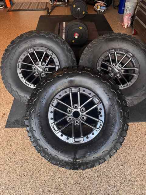 5e172f9398cb448691b9852eb92bebbb (1).jpg