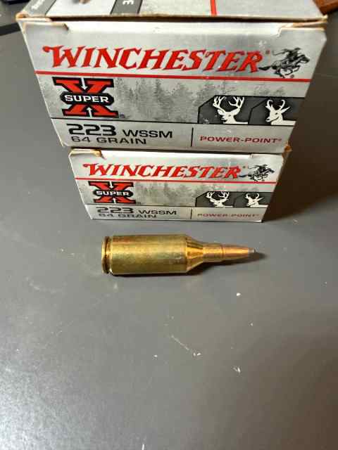 223 WSSM Ammo For Sale (Winchester)
