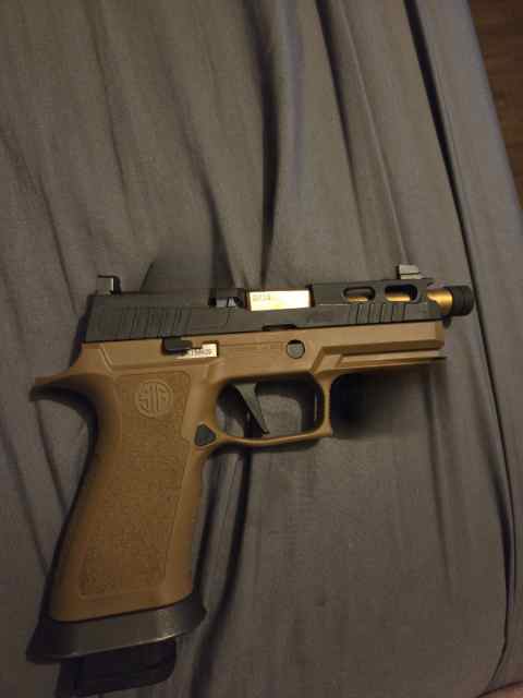 Custom sig 320 