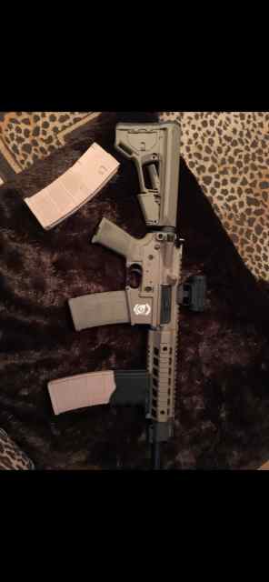 Sig Sauer AR 15 