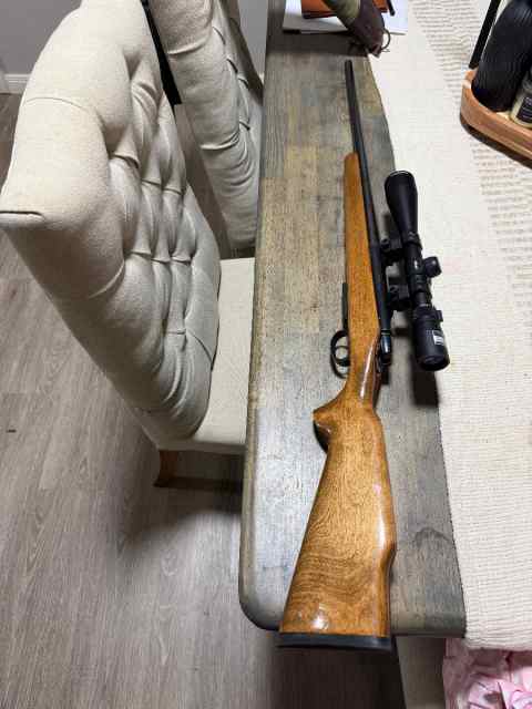 Remington 788 .222