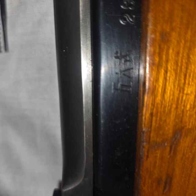20250428_085930.jpg