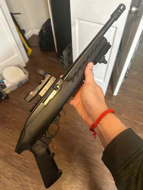 Ruger 22 Charger